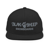 Snapback Logo Hat