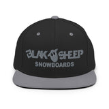 Snapback Logo Hat